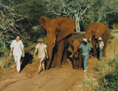 Don and Iris and elephant